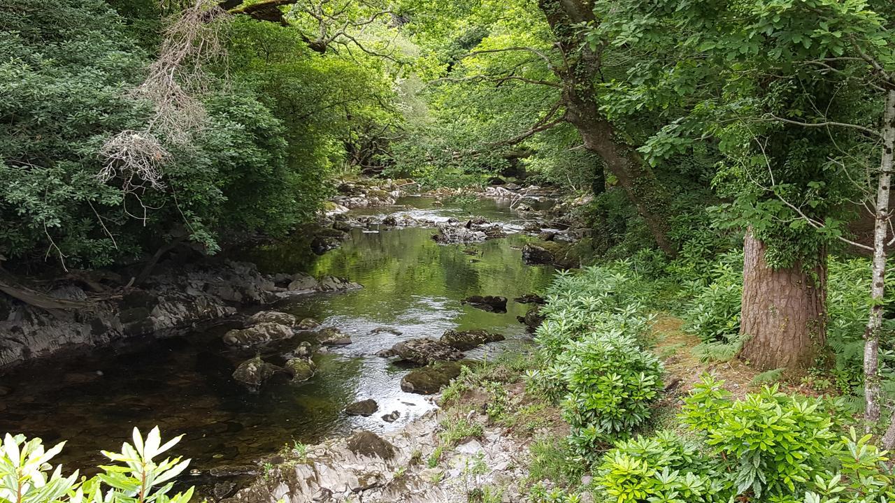 An Sibin B&B Kenmare Buitenkant foto